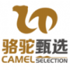 駱駝甄選軟件手機版